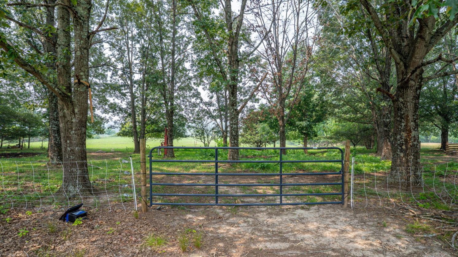 Ironwood Farm offering over 75 acres - photo 21