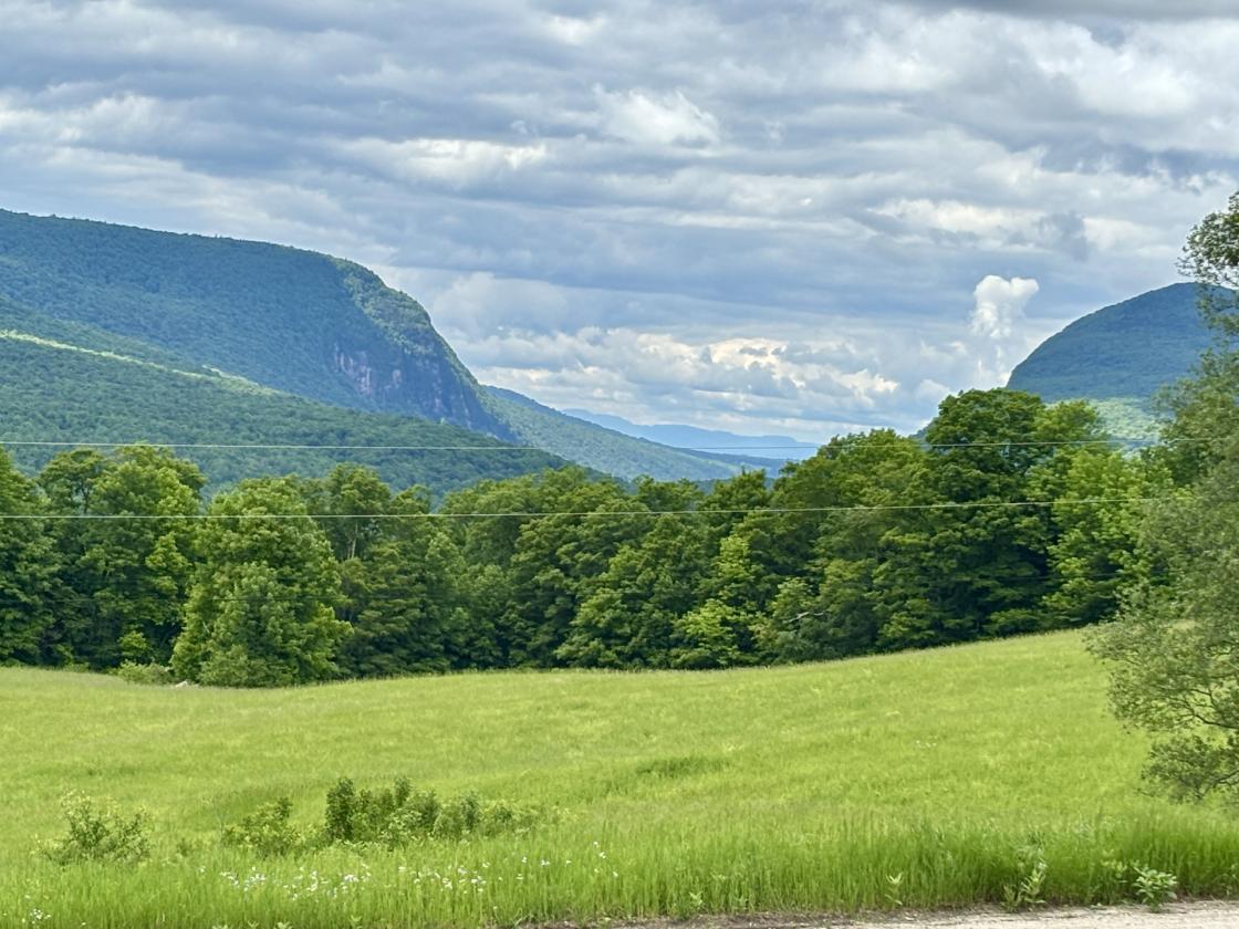 Horse Property with Stunning Views and Log Home - photo 20