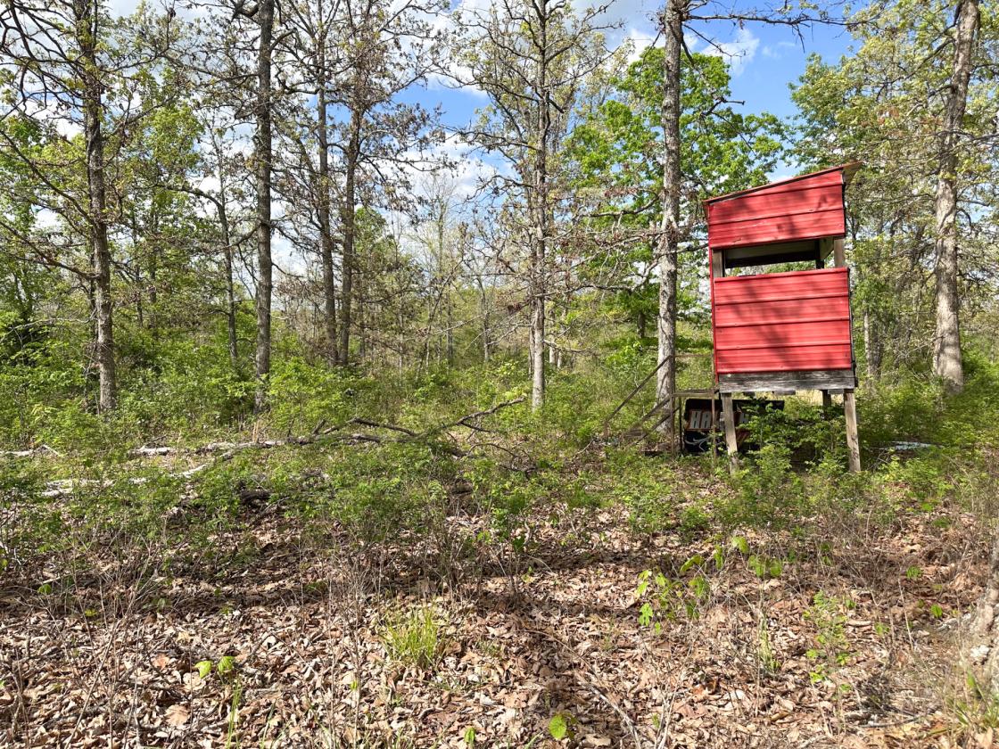 139 Acre Farm - Horse & Livestock Ready - photo 21