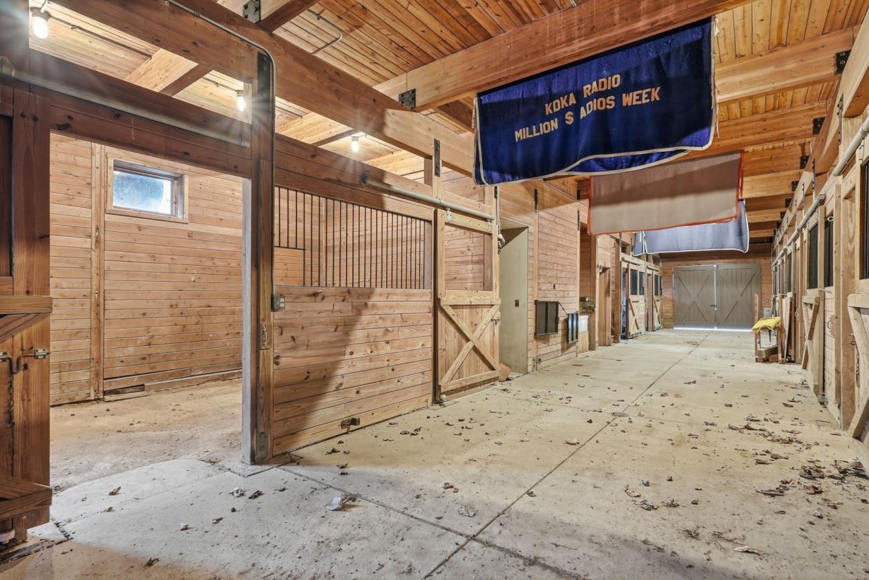 Stunning Equestrian Home! - photo 5