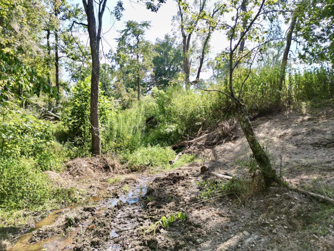 Country Farmstead Near Lake Cumberland! - photo 17