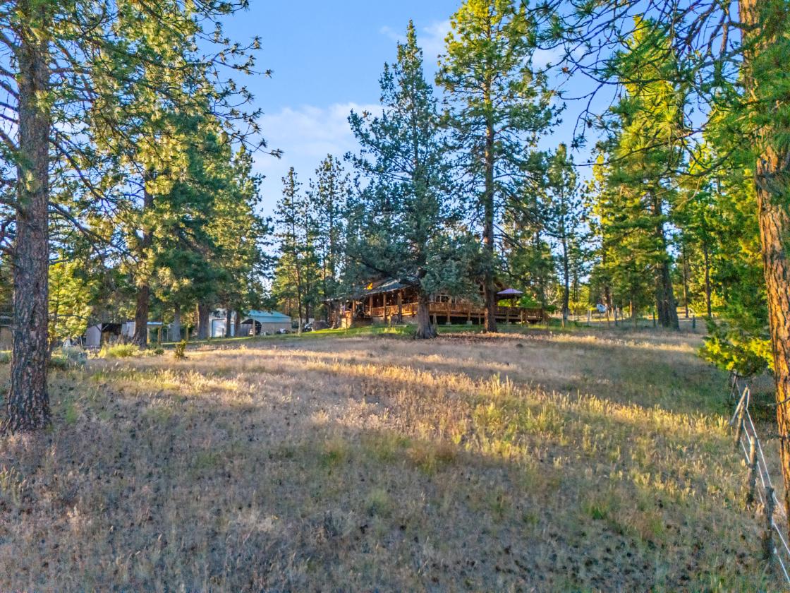 Stunning Log Home on 38.7 ac w/ barn & round pen - photo 19