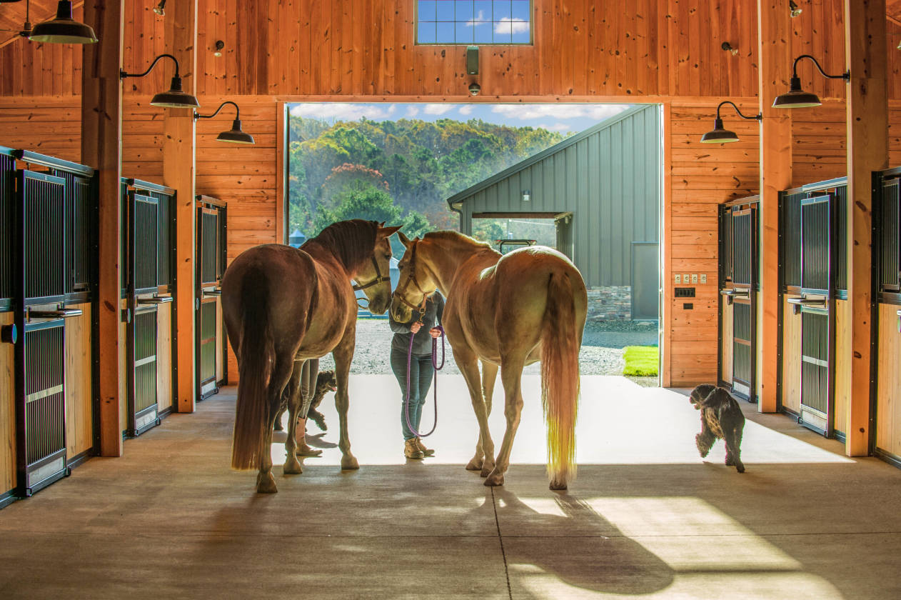 Stunning 64 acre premier horse farm near Charlotte North Carolina