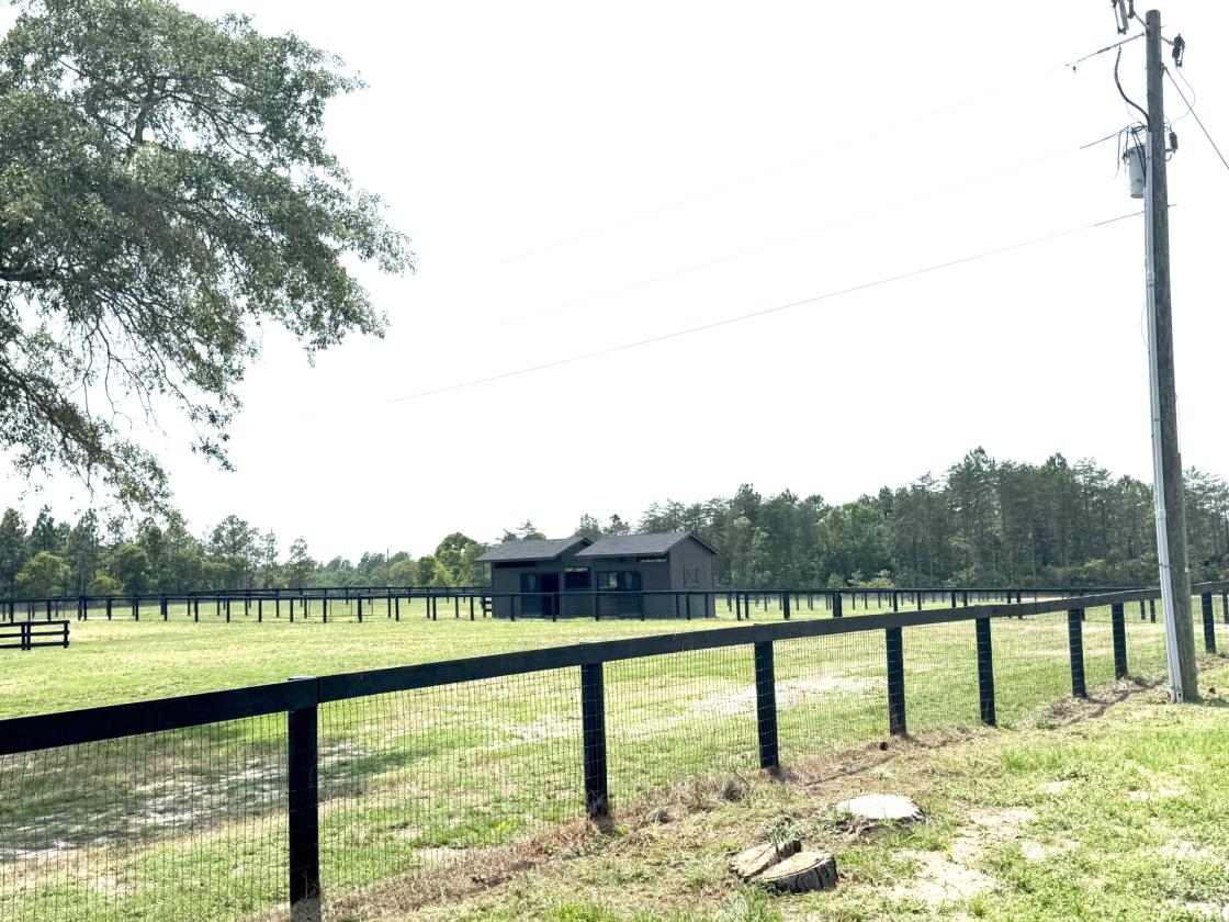 Thoughtfully Designed Luxury Equestrian Estate - photo 7