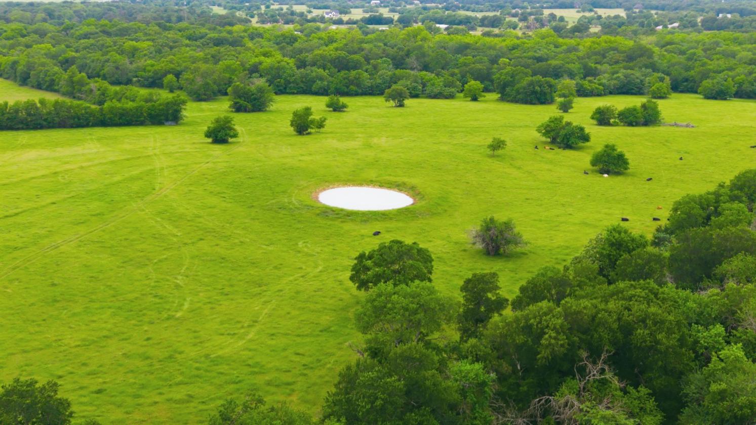 194 ACRE BREATHTAKING RANCH - photo 7