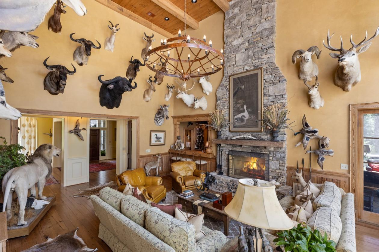 Luxury Equestrian Estate Bordering National Forest - photo 13
