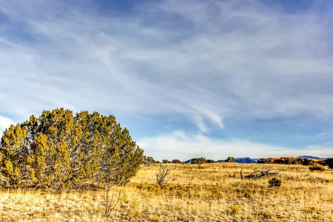155 VIEW Acres - photo 14