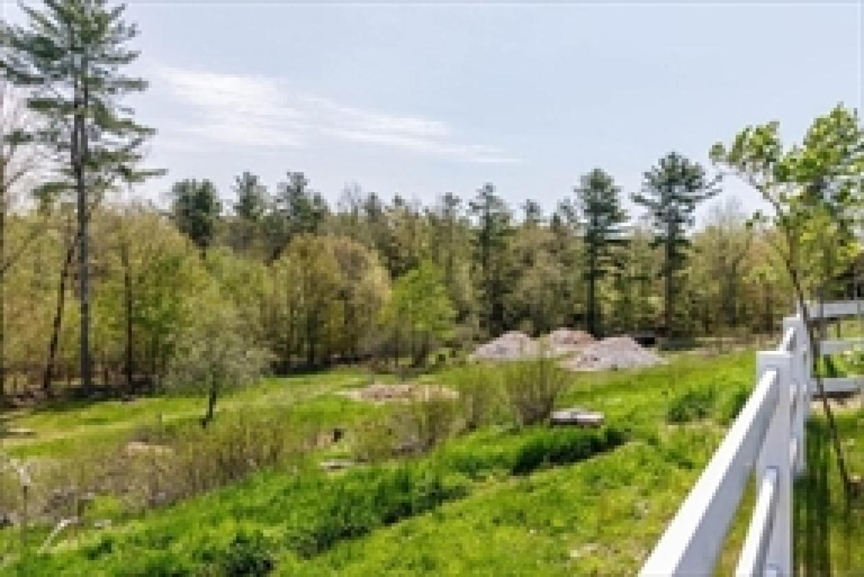 Odd Pine Farm –  Blueberries Bloom and Horses Roam - photo 7