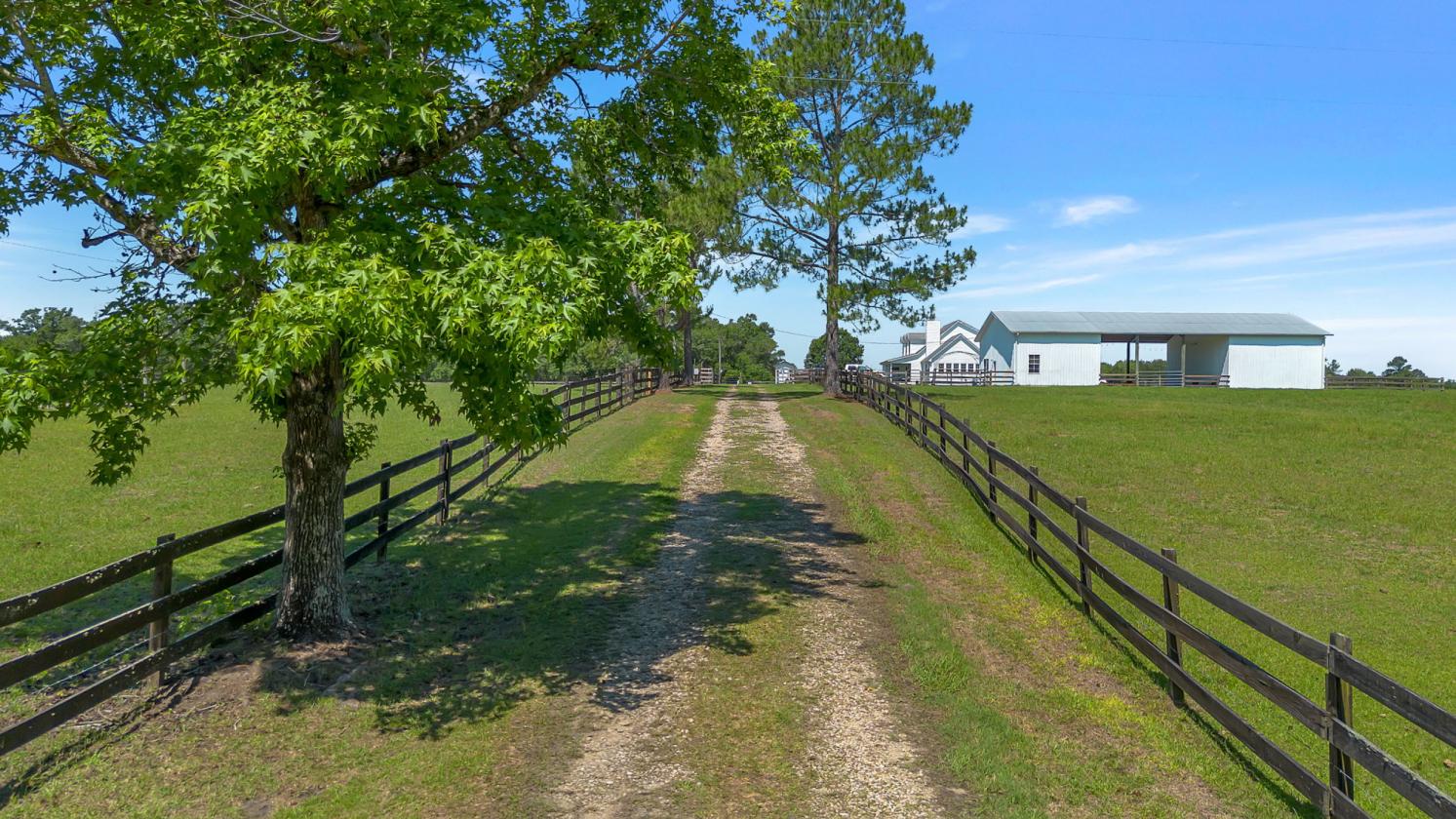 15 Acre Equestrian Home and Farm Near Tallahassee - photo 1