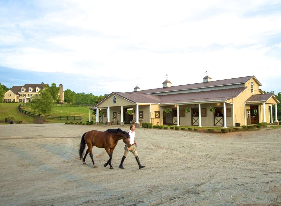 Luxurious Equestrain Country Manor Canton, Cherokee County, Horse Properties