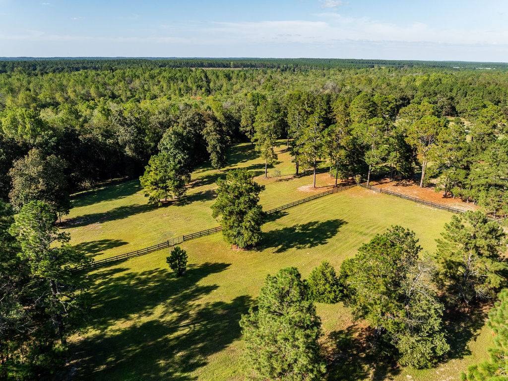 Miles of trails right off Camden equestrian estate - photo 12