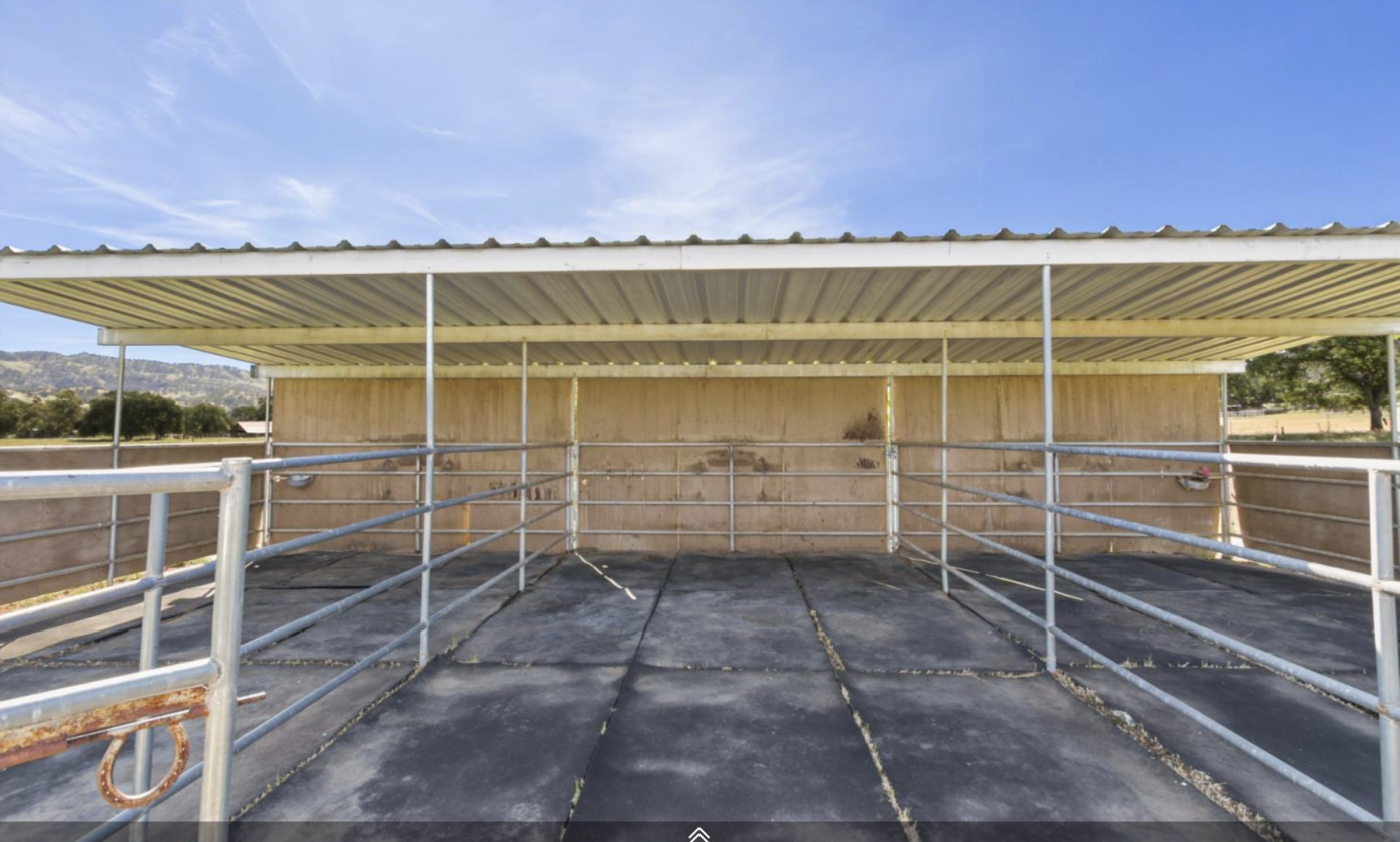 Capay Valley Horse Property with Room to Run - photo 10