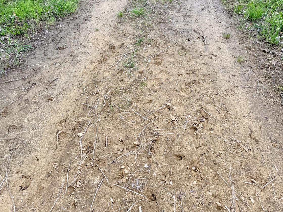 60Acres Equestrian Land with Scenic Trails - photo 7