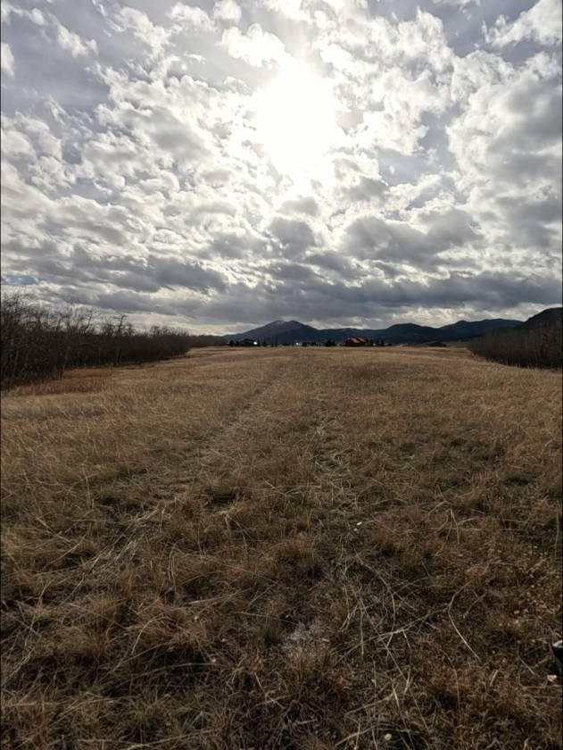 15.268 Acres! Creeks! Trails! Views! Meadows! - photo 22