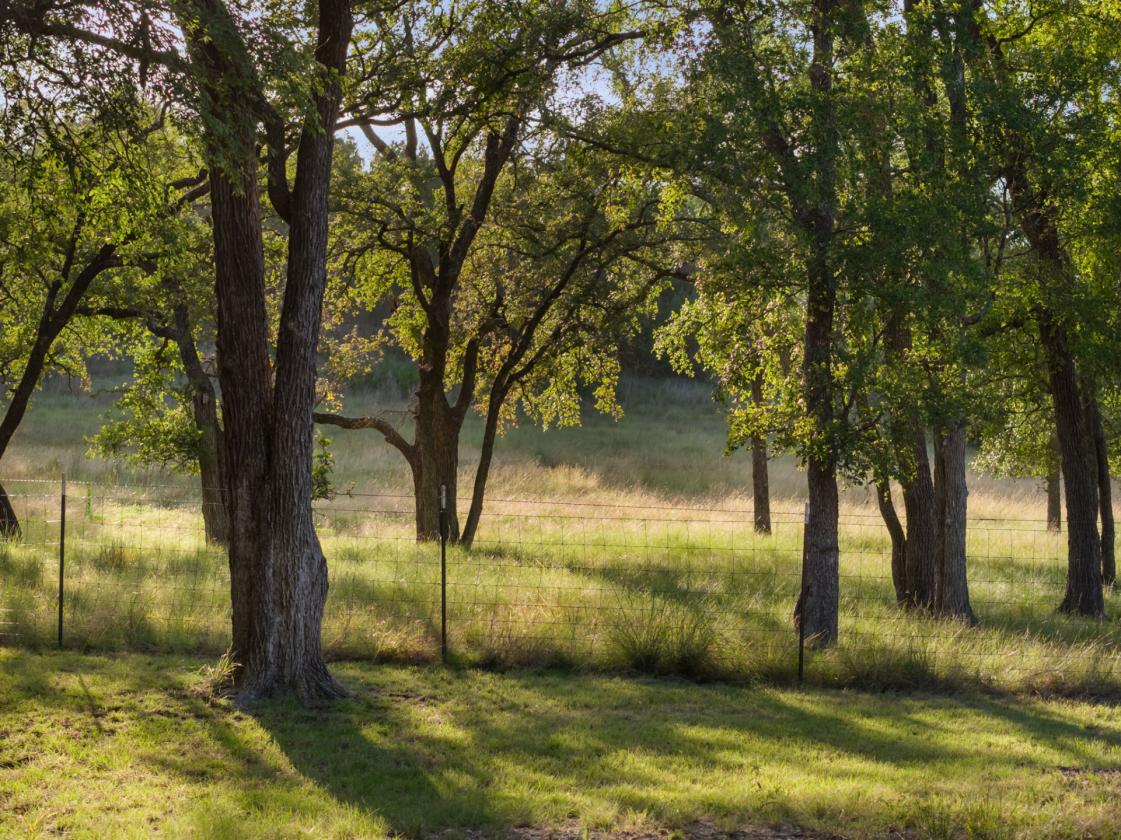 Beautiful Hill Country Home - photo 24