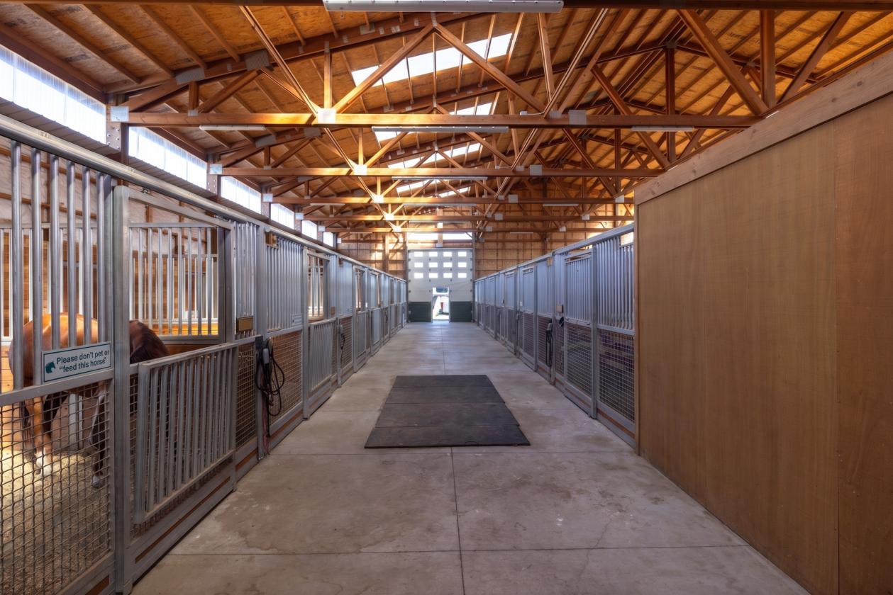 Commercial Horse Training Facility - photo 18