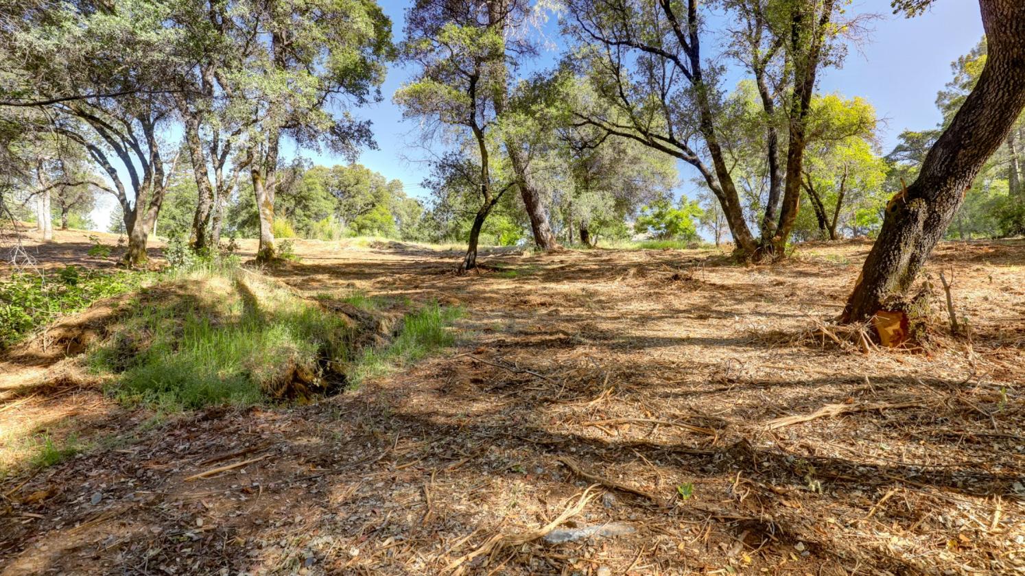 Your 5 Acre Sanctuary in Equestrian Community - photo 4