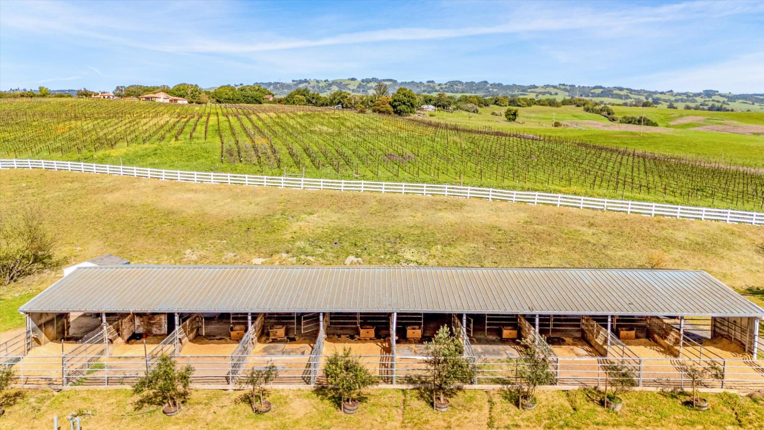 Where World-Class Pinot Meets Premier Equestrian - photo 14