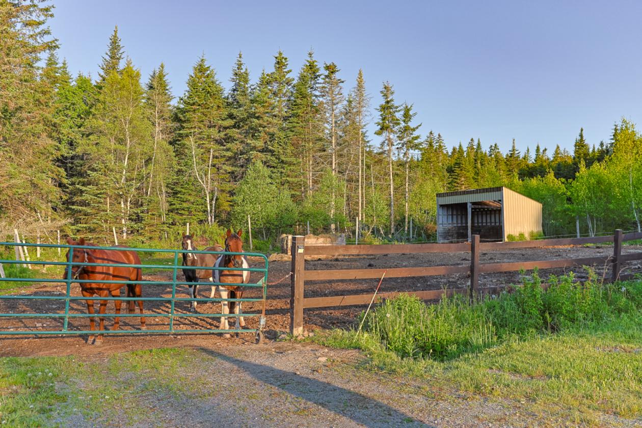 40 Acre Equestrian Property with Indoor Arena - photo 7