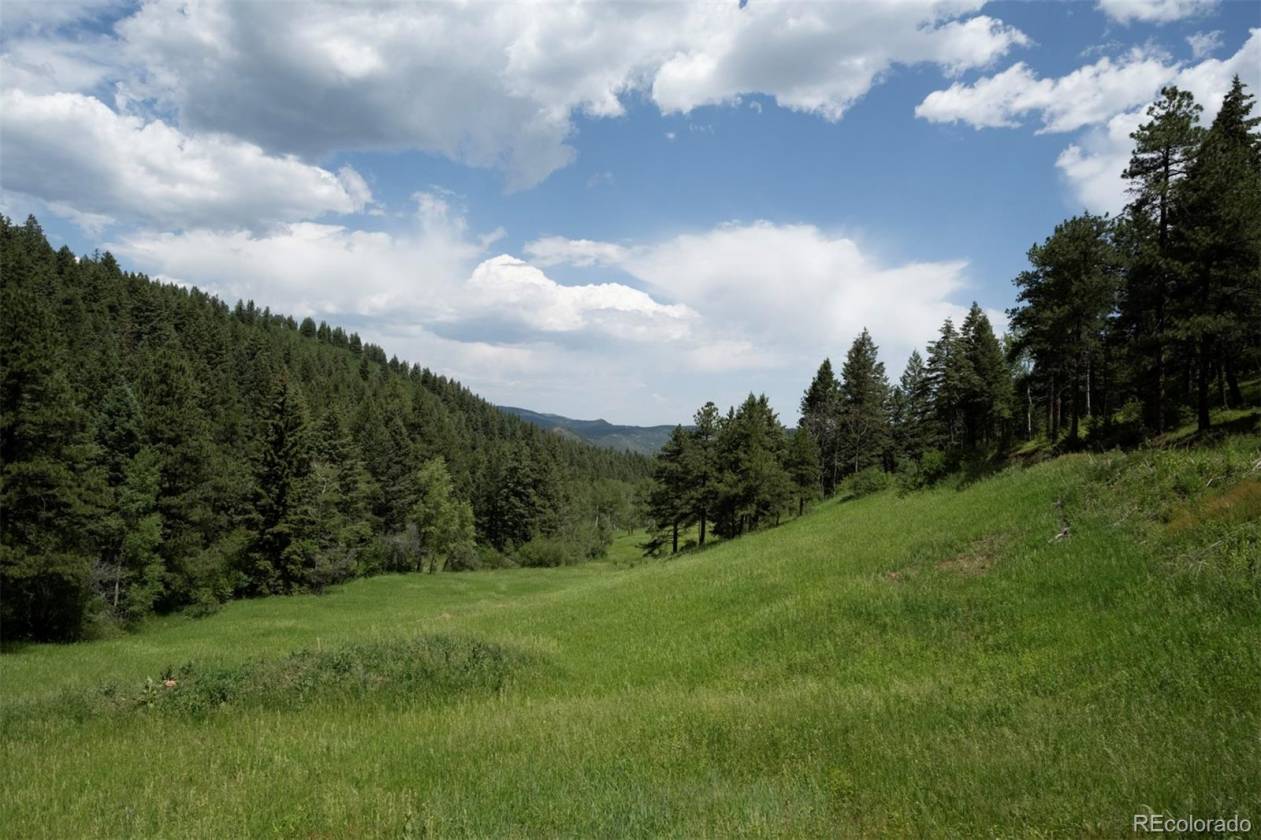 Horse Property for sale.