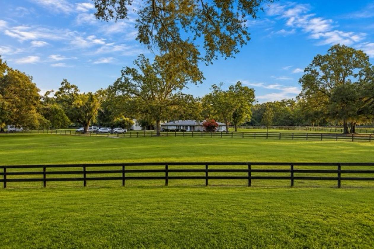Owner Financing on HUGE Opportunity 37 ACRES - photo 5