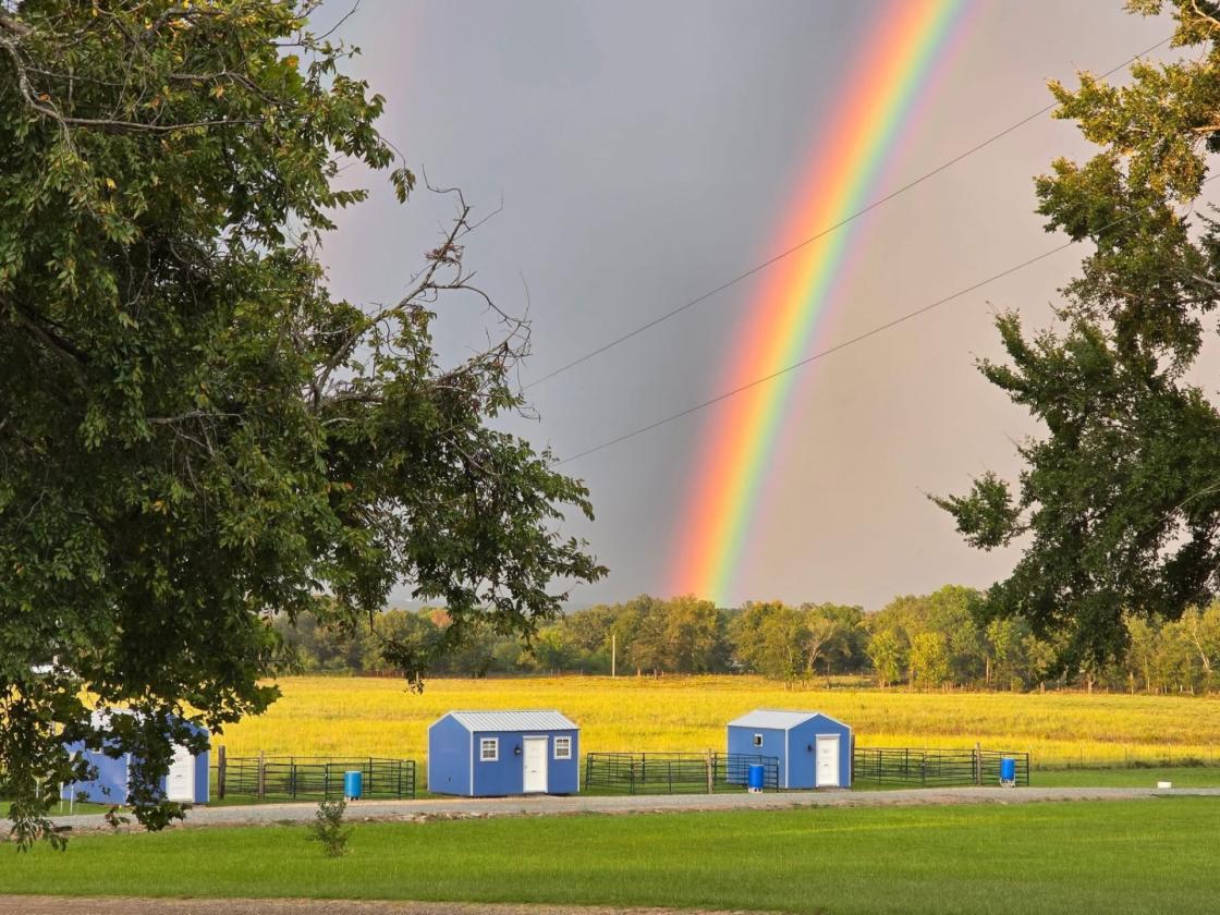 Income-Producing Equestrian Retreat - photo 25