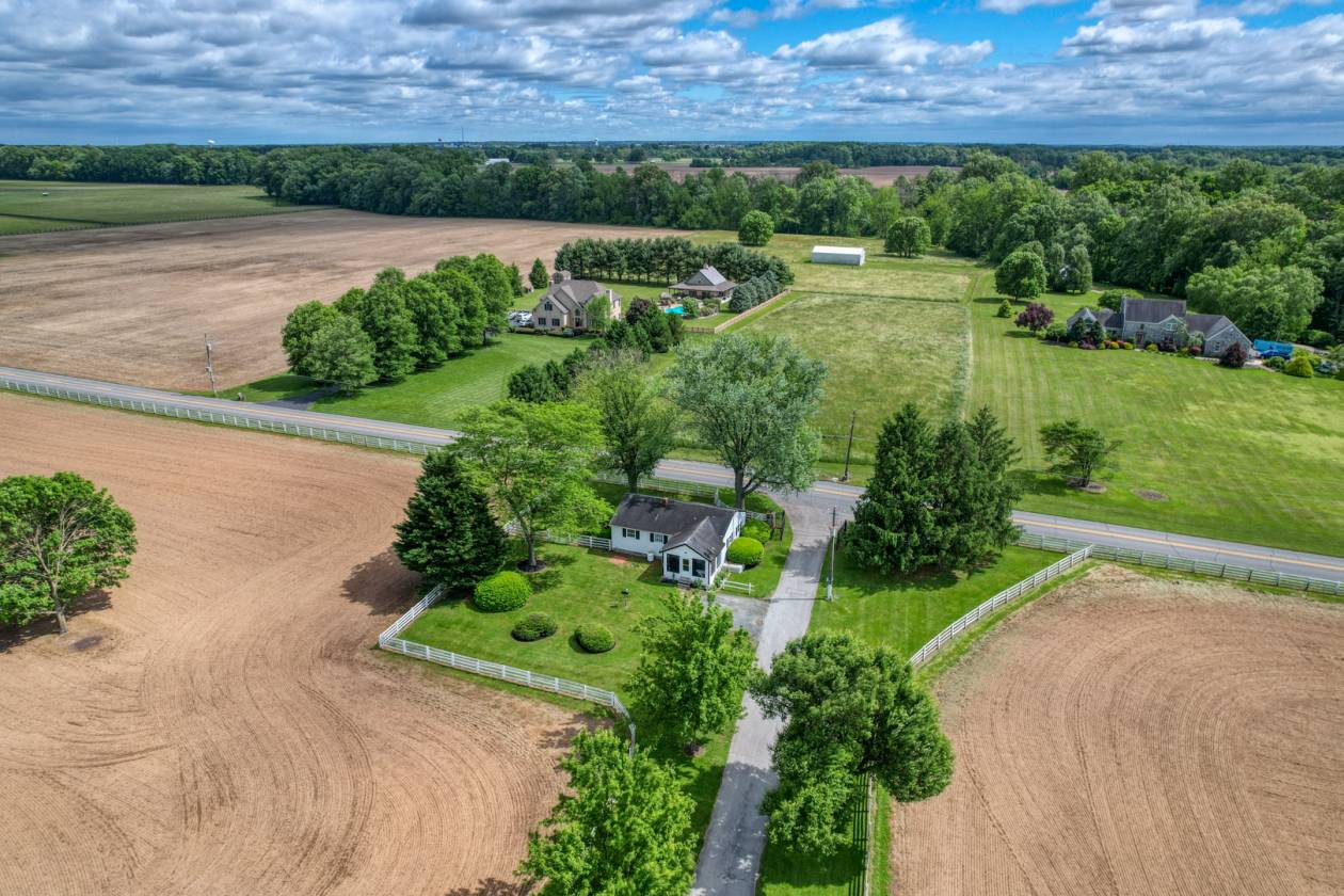 CandyLand Farm: Where Dreams Gallop Free! - photo 13