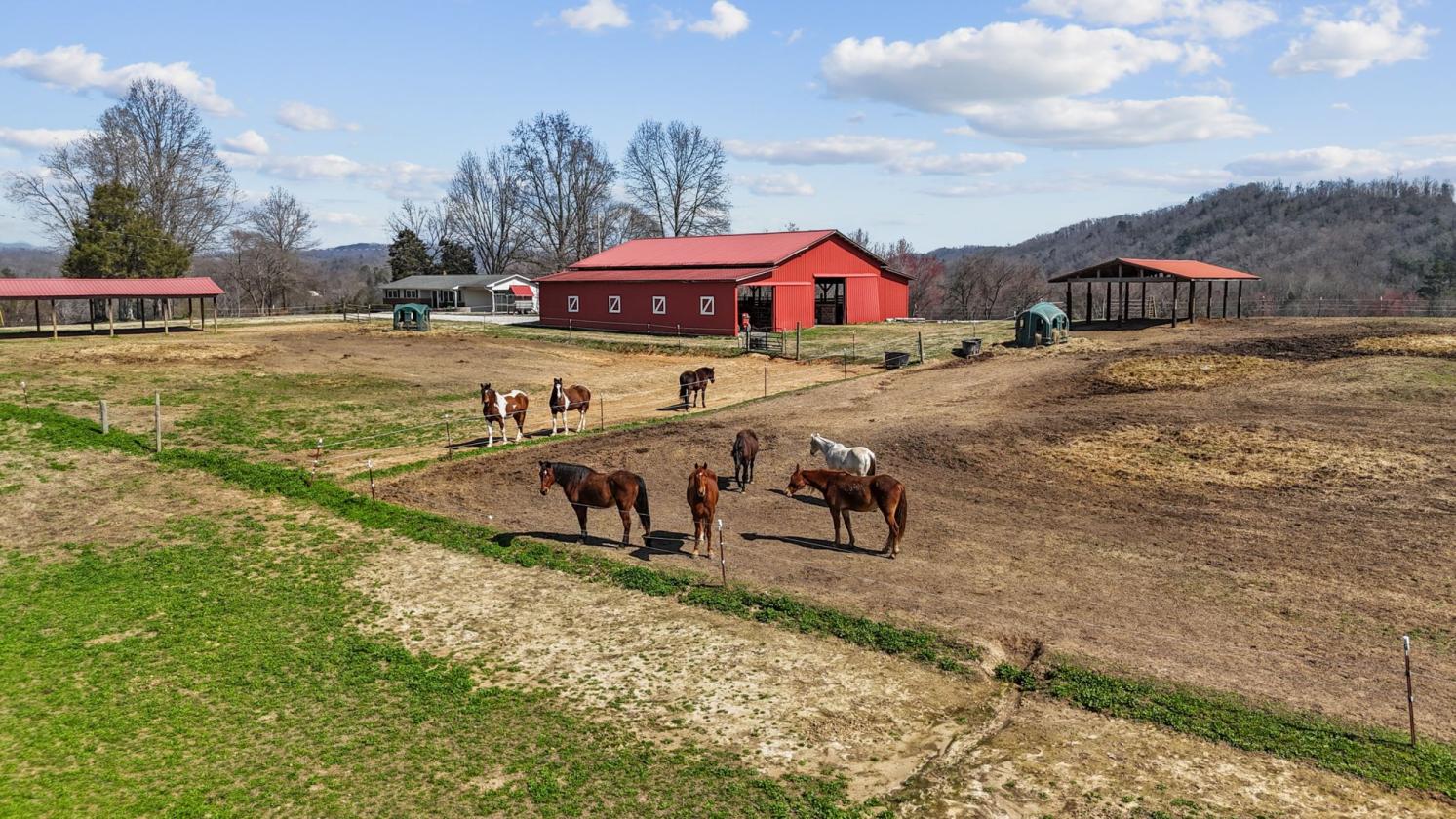 Rare East TN 36 acre farm on the Emory River - photo 23
