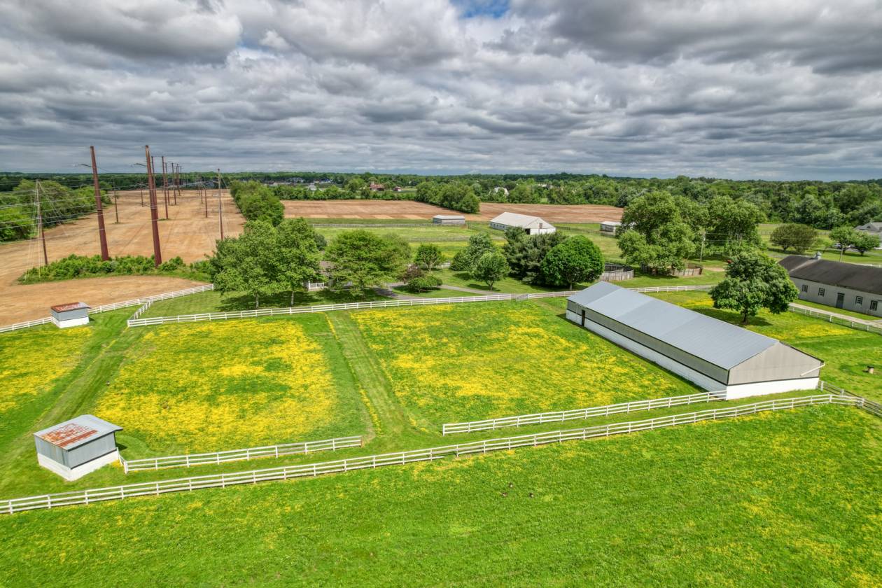 CandyLand Farm: Where Dreams Gallop Free! - photo 25