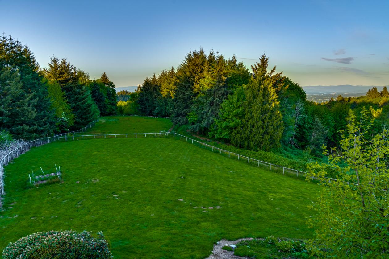 Gated 25-acre equestrian estate with sweeping Mt. - photo 18