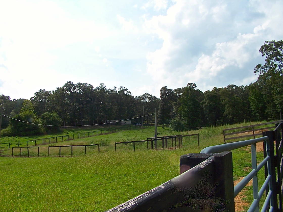 REDUCED! 10 Acre Horse Farm Wilsonville, AL. A Paradise for