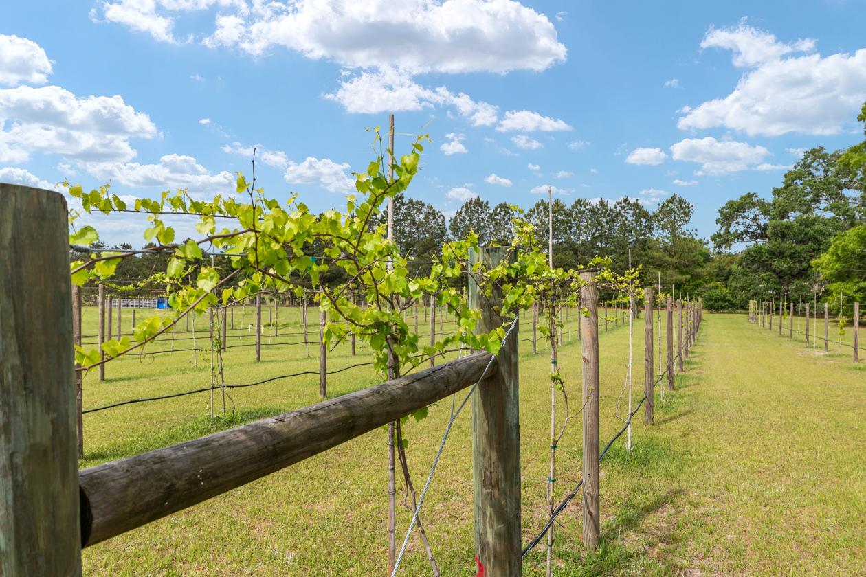 20 Acre Turnkey Horse Farm - photo 30
