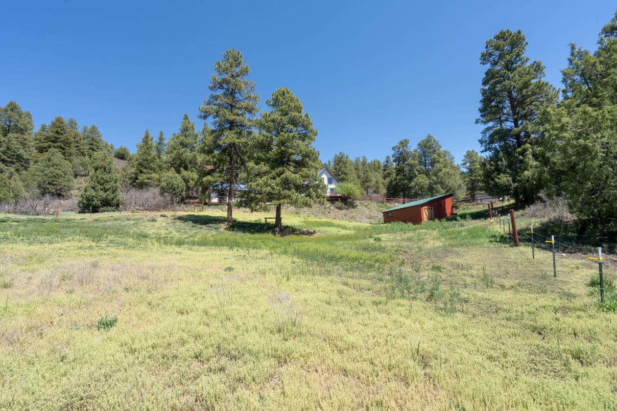 Ponderosa @ Echo Canyon Reservoir - photo 13