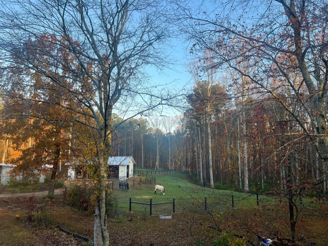 Turnkey Equestrian Property on 11+ Acres - photo 30