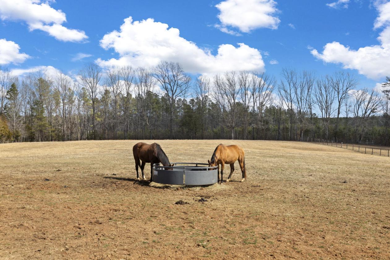 Sunny Side Up Farm | 9-Stall Equestrian Estate - photo 5