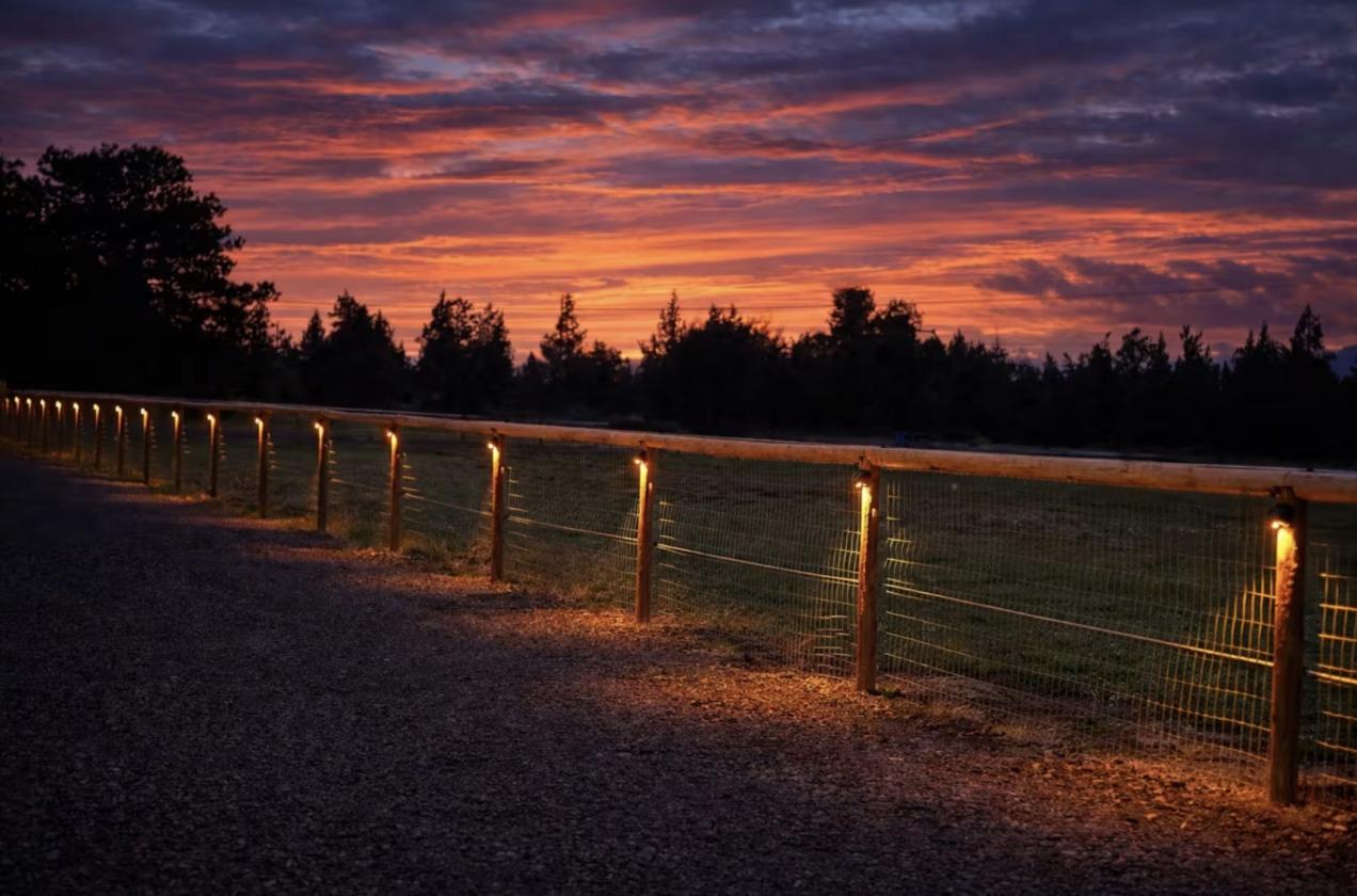 Luxury Airbnb Horse Property with Pool - photo 8