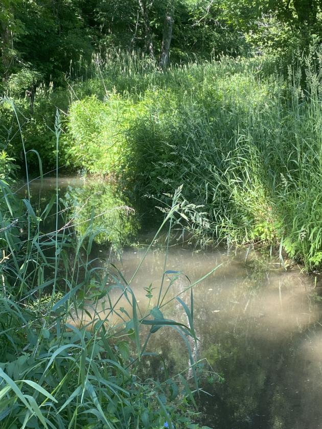 Deep River Farm - photo 6
