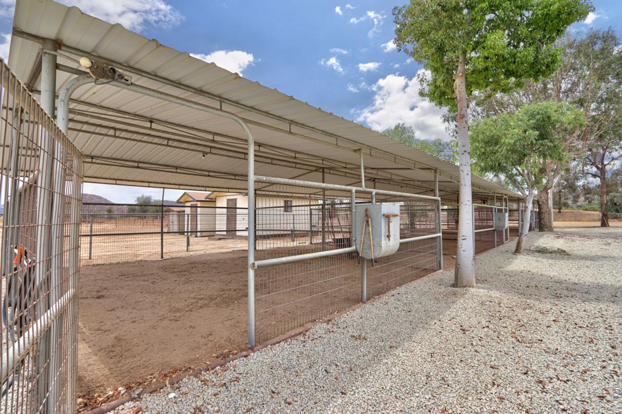 Updated Equestrian Estate with Covered Arena - photo 17