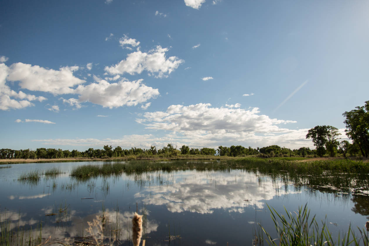 The Rio Grande River Ranch Alamosa, Alamosa County, Colorado