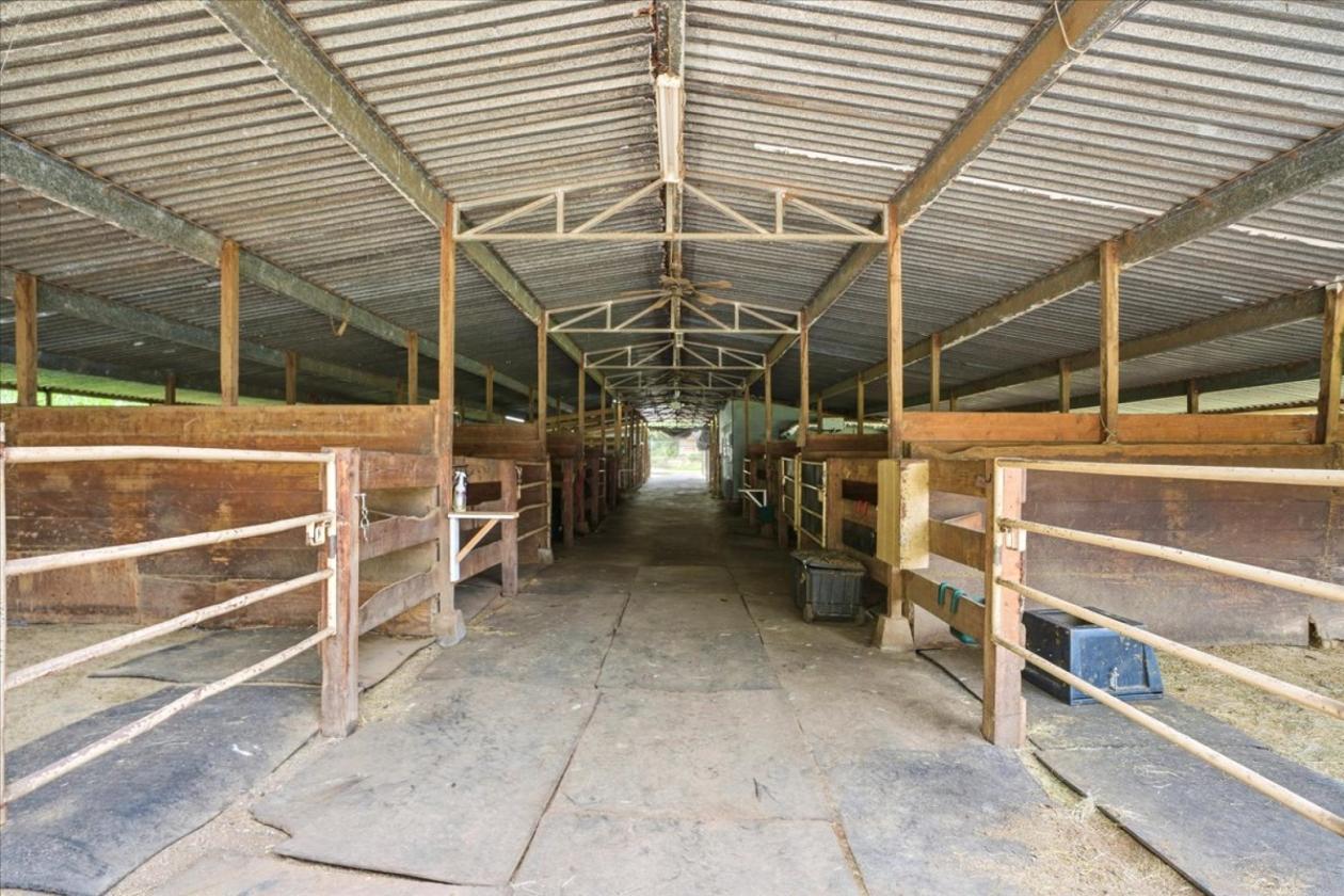 Working Horse ranch on Maui - photo 7