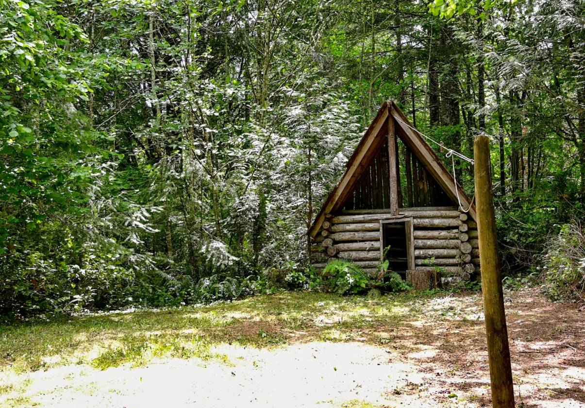27 Acre Forest Trails Wonderland - photo 24