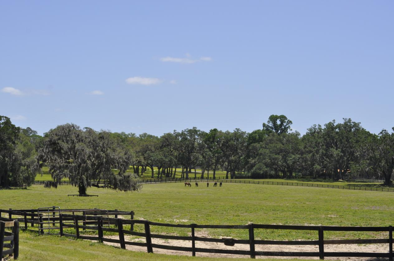Tiffany Farm - 108 Acres - photo 9