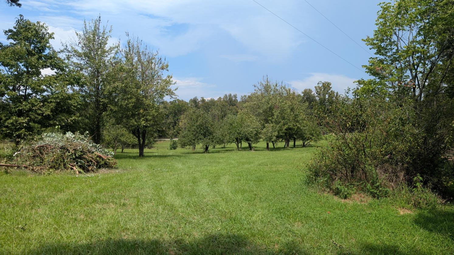 Homesteader's Paradise - photo 30