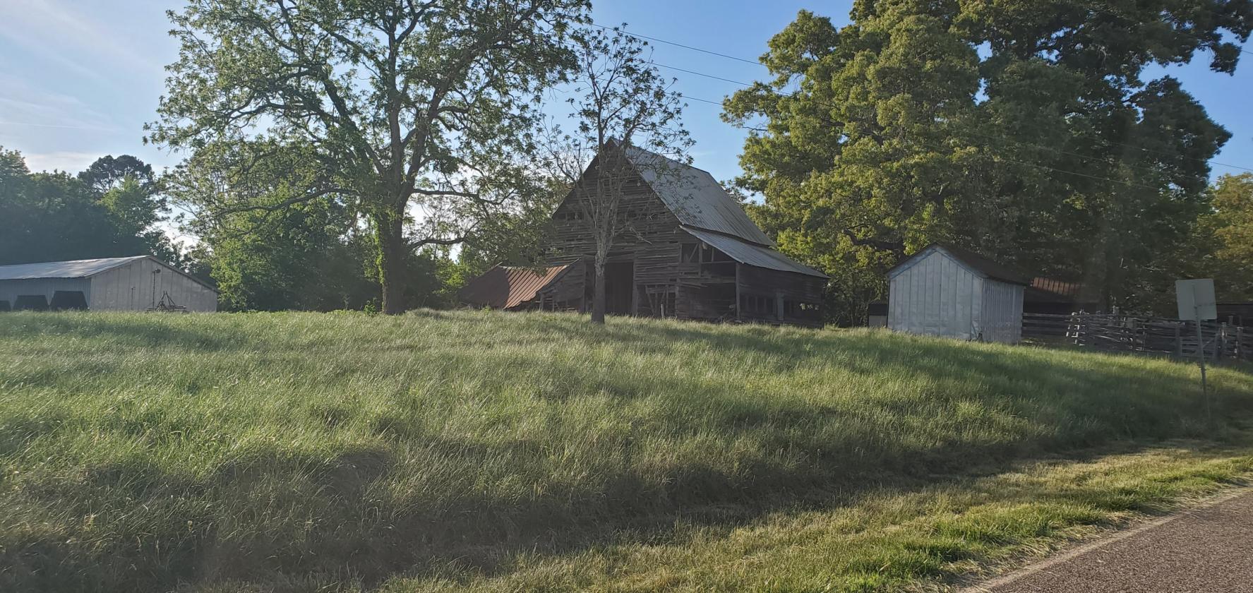 1,060 Self-Sustaining Acres in Alexander County - photo 6