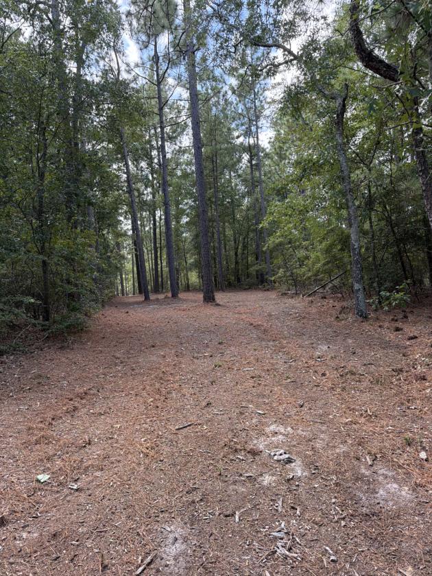 72+/- Acres of Turn Key Perfection in Aiken SC - photo 30