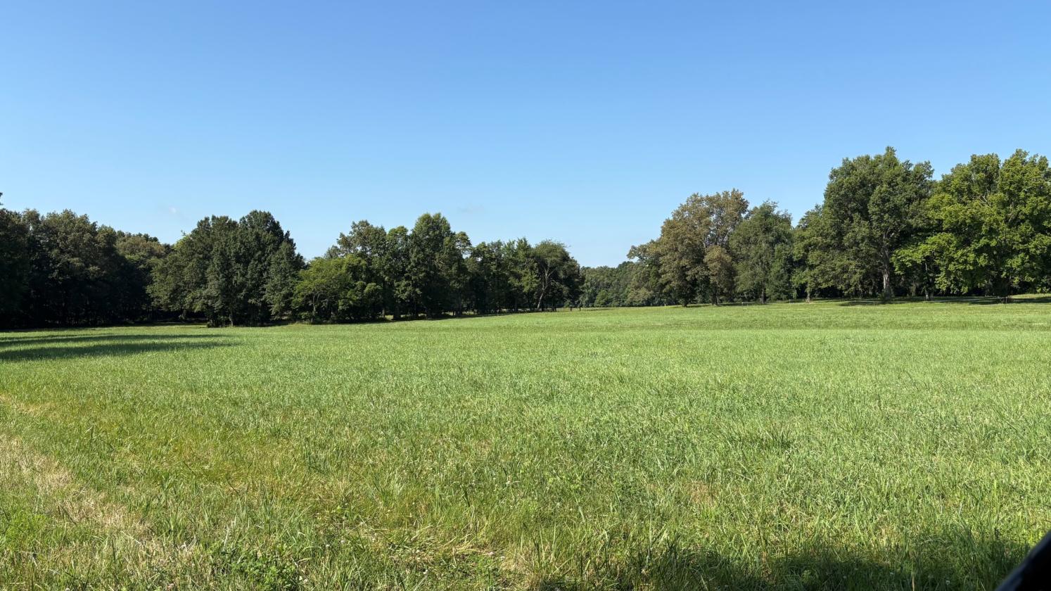 Southern Illinois Horse Farm with home - photo 22