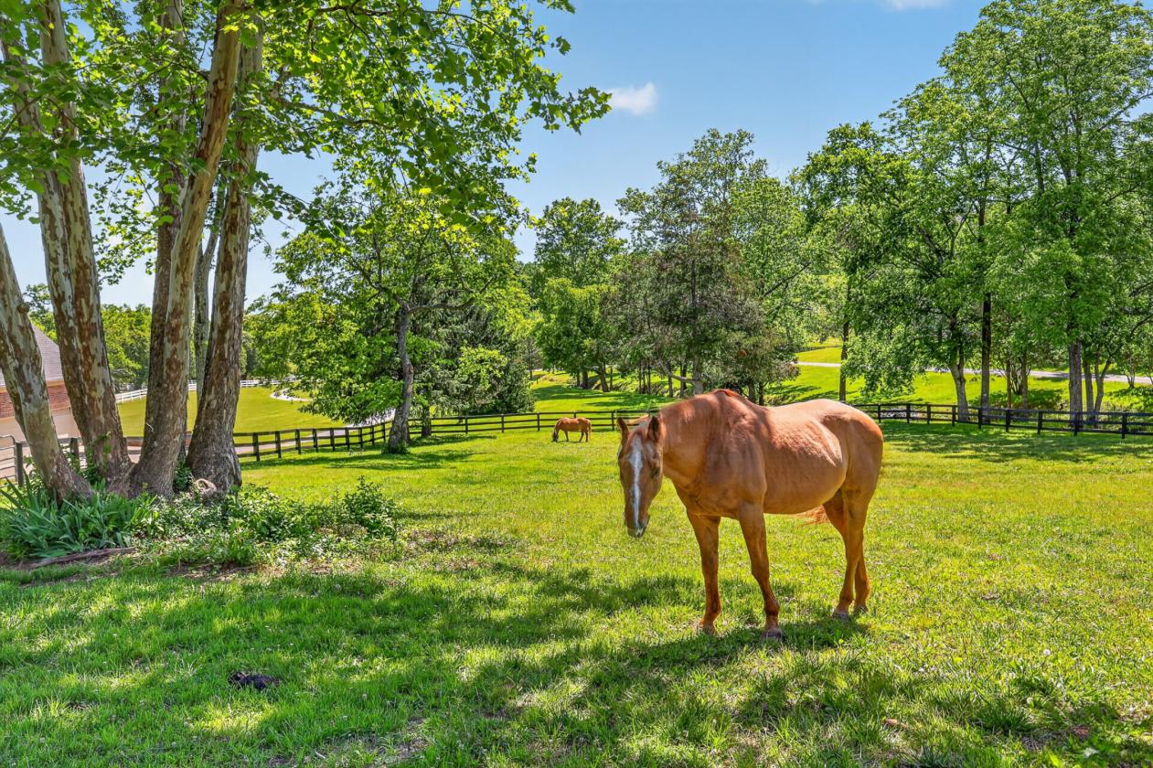 Nashville Home w/Outdoor Paradise & Dream Barn - photo 7