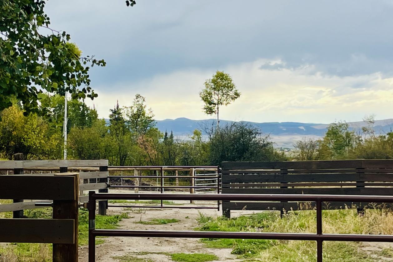 Mountain Rustic Charm Ranch - photo 13