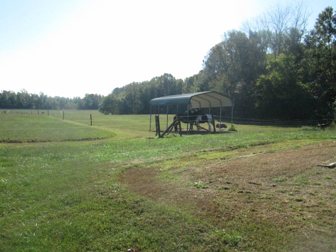 Horse Farm with potential development - photo 28