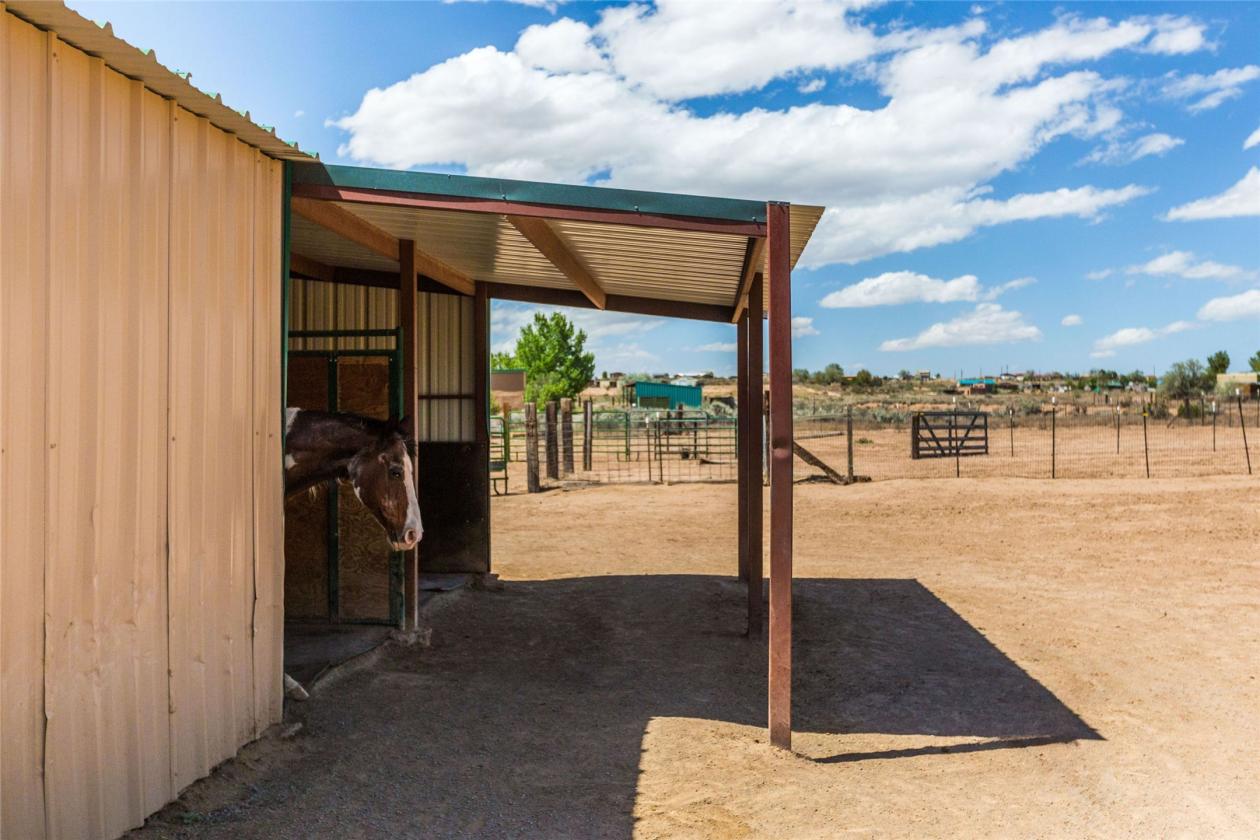 Starry Night Ranch - House/Guest House/Barn - photo 26